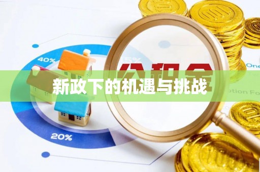 无为新政下的机遇与挑战