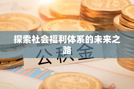 无为探索社会福利体系的未来之路