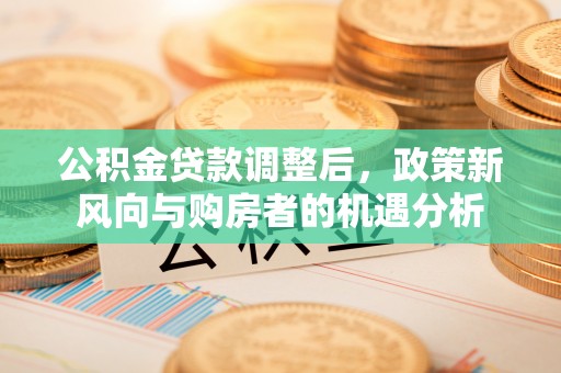 无为公积金贷款调整后，政策新风向与购房者的机遇分析
