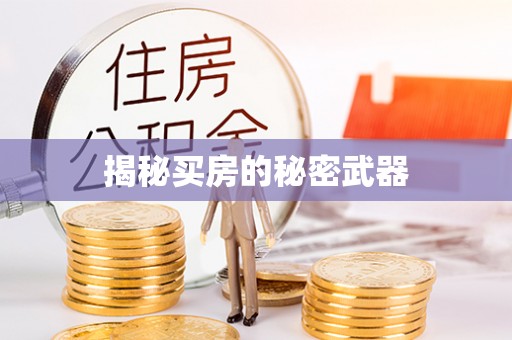 无为揭秘买房的秘密武器