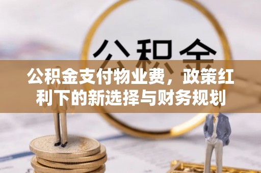 无为公积金支付物业费，政策红利下的新选择与财务规划