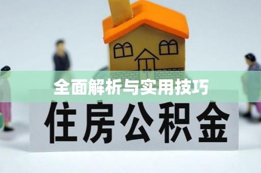 无为全面解析与实用技巧