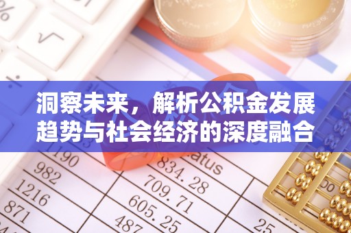 无为洞察未来，解析公积金发展趋势与社会经济的深度融合