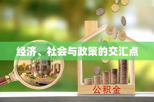 无为经济、社会与政策的交汇点