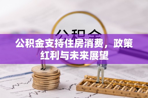 无为公积金支持住房消费，政策红利与未来展望