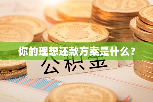 无为你的理想还款方案是什么？