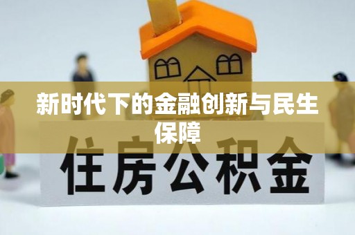 无为新时代下的金融创新与民生保障